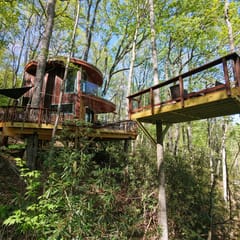 Mushroom-Inspired Treehouse with Living Roof - The Mēos