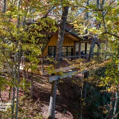 The Hylo - XL Treehouse on 7 Trees & Bridge