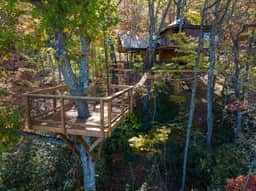 The Hylo - XL Treehouse on 7 Trees & Bridge - Image 3