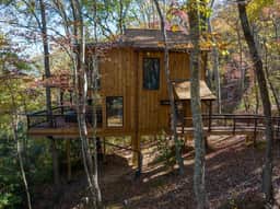 XL Treehouse on 7 Trees with Bridge & Platforms - The Hylo