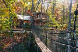 The Hylo - XL Treehouse on 7 Trees & Bridge - Image 5