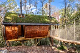 Nest-Shaped Cocoon Treehouse on 4 Trees - The Marsu