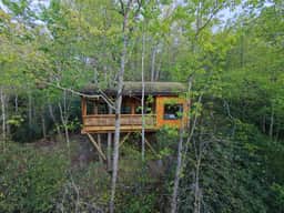 The Marsu - Nest-Shaped Cocoon Treehouse - Image 3