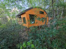 The Marsu - Nest-Shaped Cocoon Treehouse - Image 4