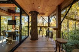 360° Glass Treehouse in the Canopy - The Cūbus