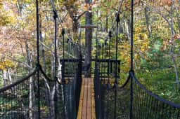 360° Glass Treehouse in the Canopy - The Cūbus