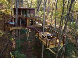Mushroom-Inspired Treehouse with Living Roof - The Mēos
