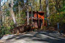 Mushroom-Inspired Treehouse with Living Roof - The Mēos