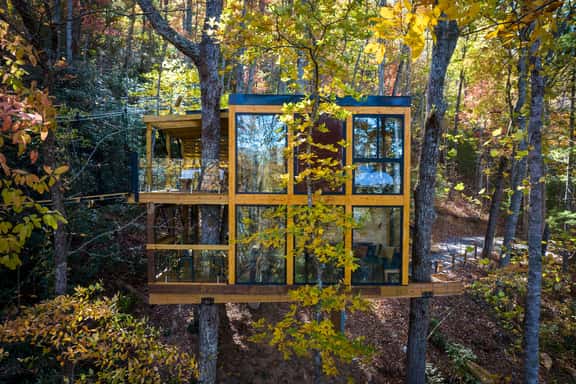 The Cūbus - 360° Glass Treehouse in the Canopy - Image 1