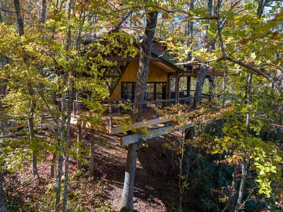 The Hylo - XL Treehouse on 7 Trees & Bridge - Image 4