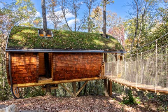 Nest-Shaped Cocoon Treehouse on 4 Trees - The Marsu