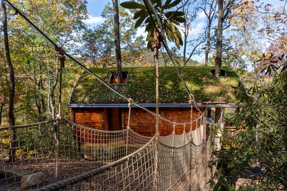 Nest-Shaped Cocoon Treehouse on 4 Trees - The Marsu