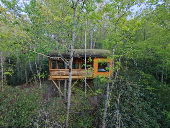 The Marsu - Nest-Shaped Cocoon Treehouse - Image 3