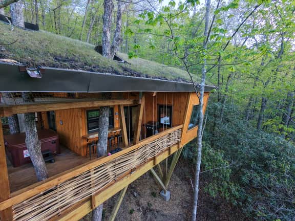 The Marsu - Nest-Shaped Cocoon Treehouse - Image 5
