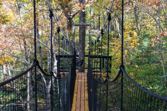 360° Glass Treehouse in the Canopy - The Cūbus