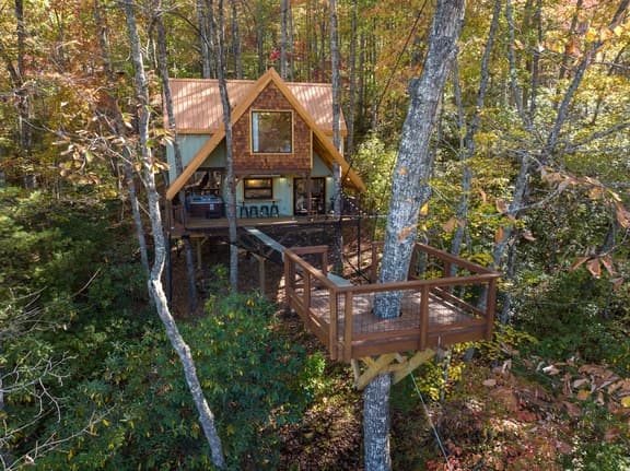 A-Frame Treehouse with Giant Treetop Net - The Carpentree