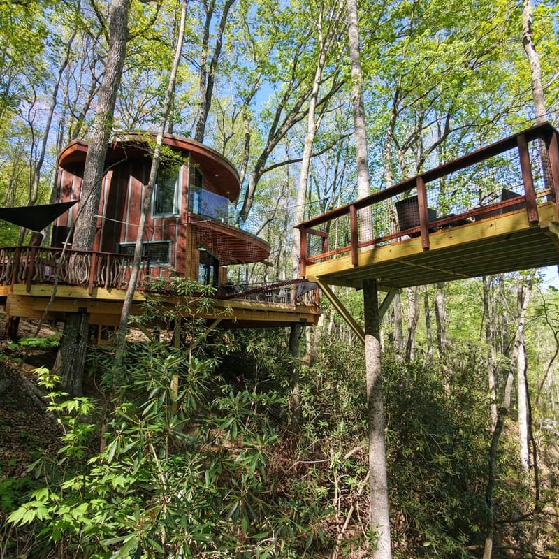 Mushroom-Inspired Treehouse with Living Roof - The Mēos