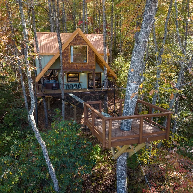 A-Frame Treehouse with Giant Treetop Net - The Carpentree